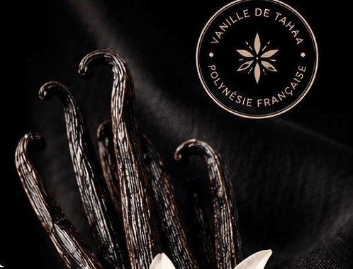 Vanille de Taha'a L’Unité — 1 Gousse
